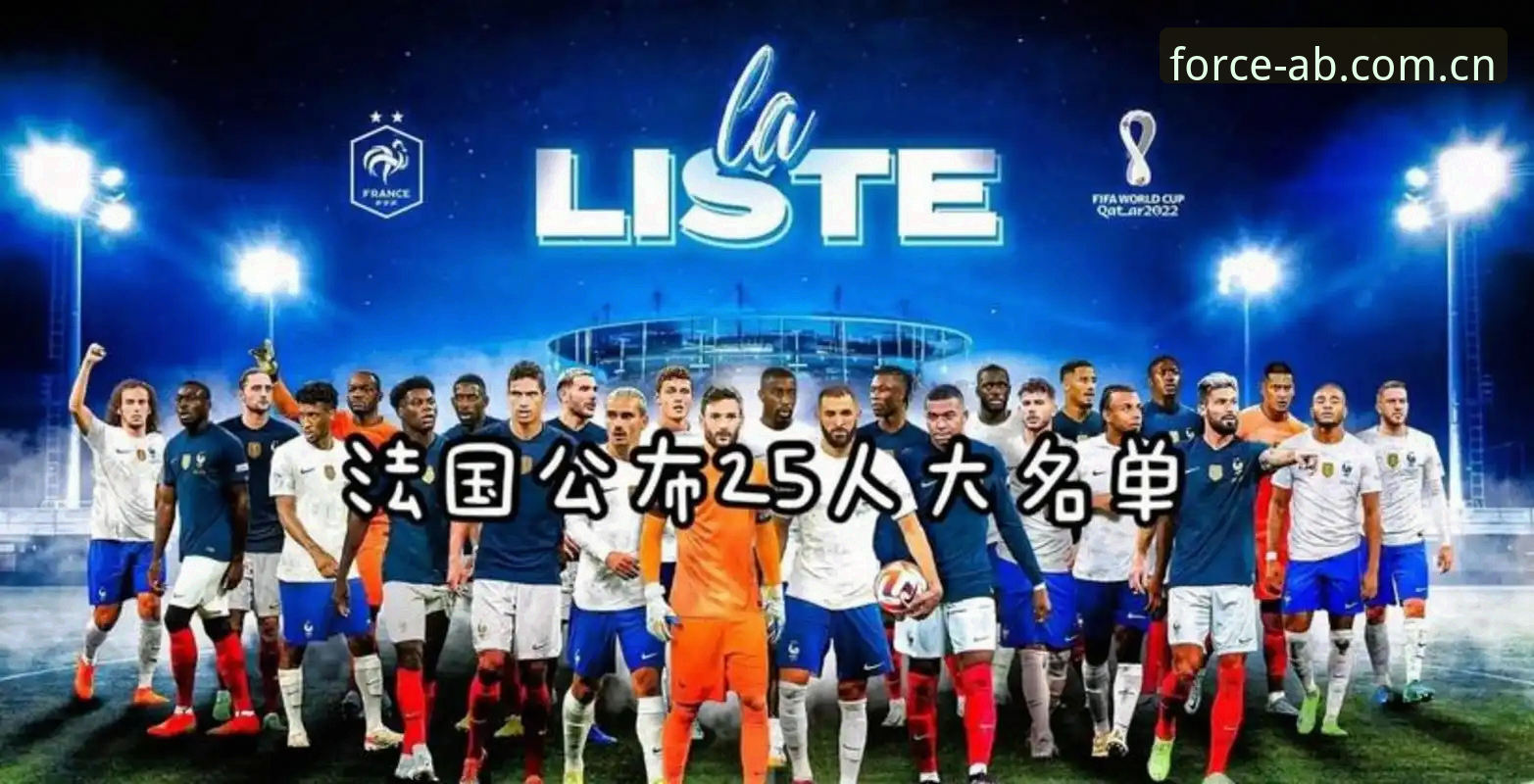 法国队阵容重组背后的数据解读——德尚赛后言论使用教程